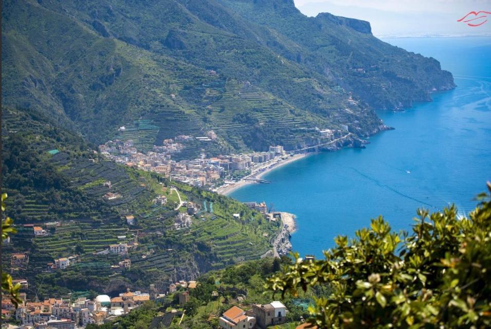 Ravello Vingius Suite Eksteriør bilde